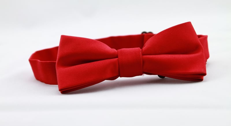 Groom with a stylish bow tie